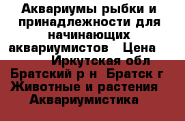 Аквариумы,рыбки и принадлежности для начинающих аквариумистов › Цена ­ 2 450 - Иркутская обл., Братский р-н, Братск г. Животные и растения » Аквариумистика   